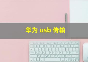 华为 usb 传输